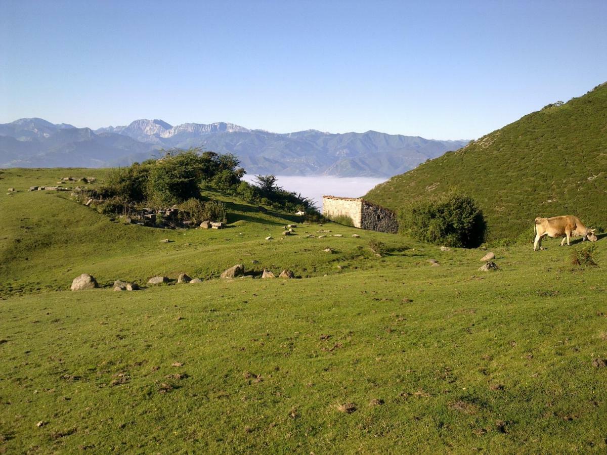 Affittacamere El Sumiciu Mieres  Esterno foto